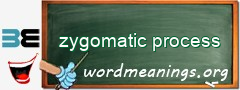 WordMeaning blackboard for zygomatic process